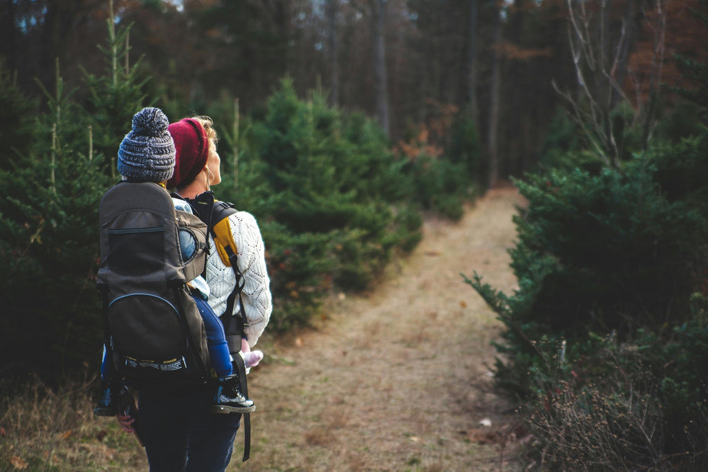 Storing Food for Outdoors: A Food Safety Blog