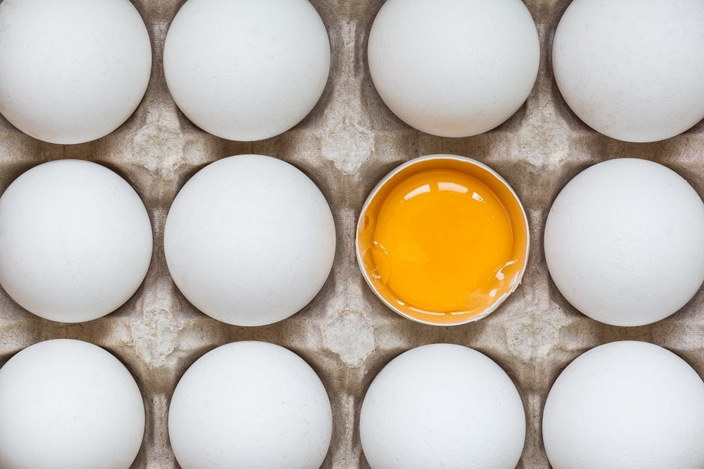 10 Egg Alternative Foods to Add Into Your Food Storage Plan