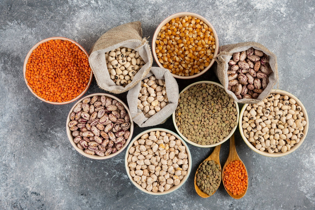 Long-Term Grains Storage: Grains Uses, Shelf-Life and Storage Tips