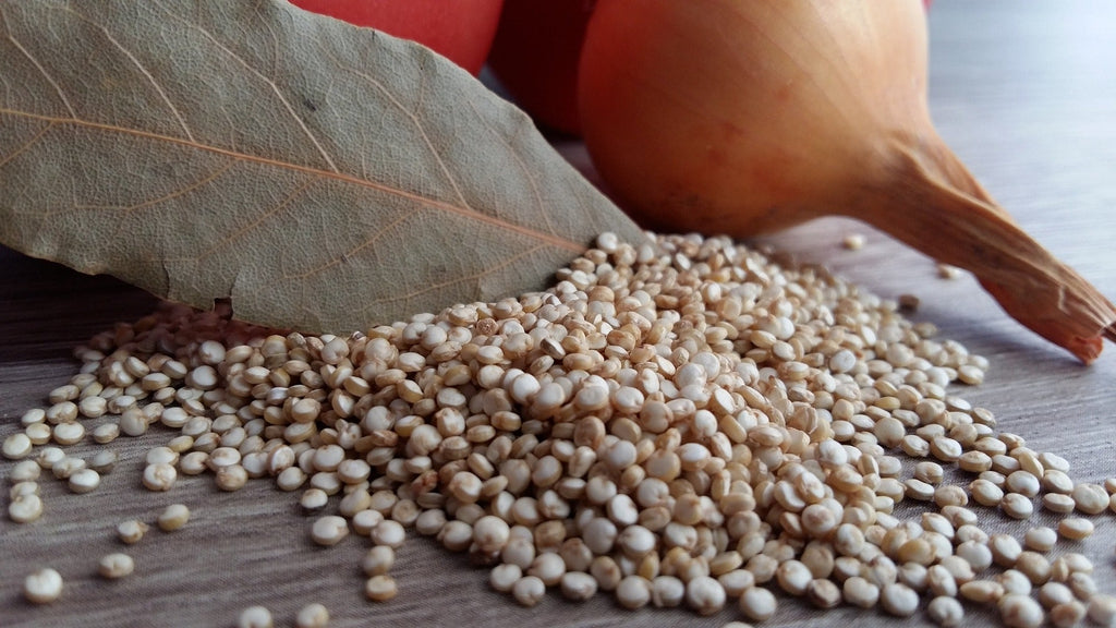 Long-Term Storage of Quinoa: Storage Options and Shelf-Life
