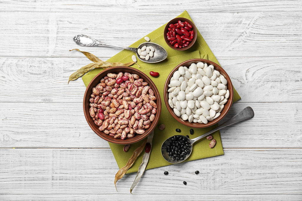 The 8 Best Types of Beans for Long-Term Storage