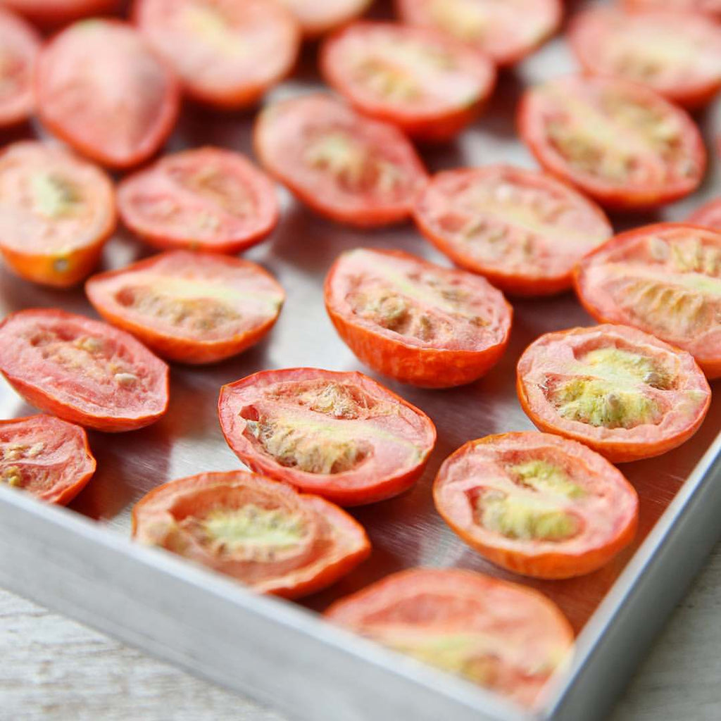 The Ultimate Harvest Right Freeze Dryer Buying Guide: