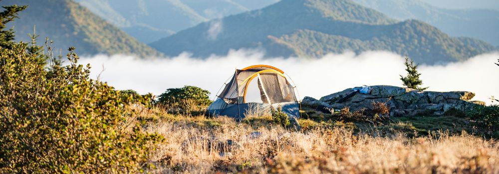 Elevate Your Outdoor Adventures with Mylar Bags